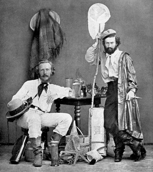 File:Ernst Haeckel and von Miclucho-Maclay 1866.jpg