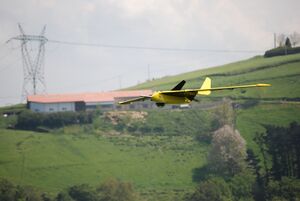 Fulmar Flight.JPG