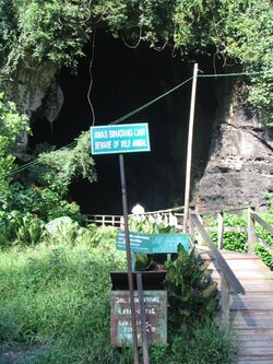 GomantongCaves.Lauras512.jpg