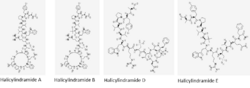 Halicylindramide A,B,D,E.png