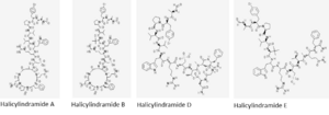 Halicylindramide A,B,D,E.png