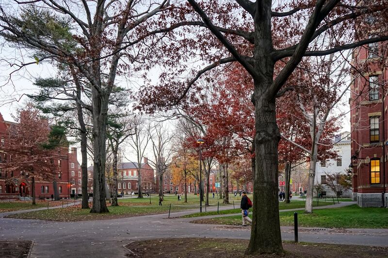 File:Harvard Yard in autumn, Boston, Massachusetts, 2015.jpg