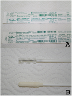 Journal.pone.0026395.g001 cervical cytology brushes.png