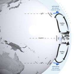 Cross section showing the vertical and meridional movement of air around Hadley cells in the northern and southern hemispheres