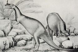 The first life reconstruction, drawn by Frank Bond in 1899