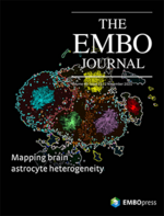 The EMBO Journal cover.png