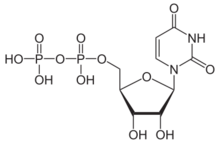 Skeletal formula of uridine diphosphate