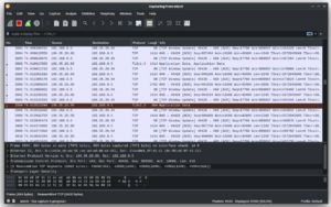 Wireshark GUI