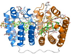 1ppr peridinin chlorophyll protein.png