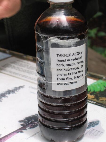File:Bottle of tannic acid.jpg