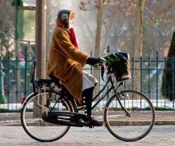 Cycliste à place d'Italie-Paris crop.jpg