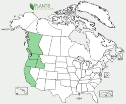 Distribution of Ribes Sanguineum.png