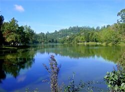 Kodai Lake.jpg