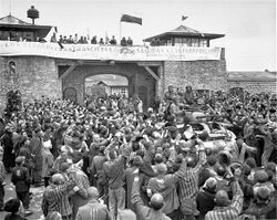 Mauthausen survivors cheer the soldiers of the Eleventh Armored Division.jpg