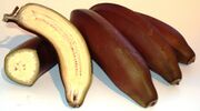 fruits from a banana species