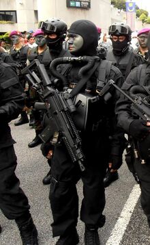 Navy PASKAL frogman strike team members arms with HK firearms during 57th NDP (a).jpg
