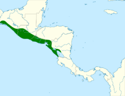Psittacara strenuus map.svg