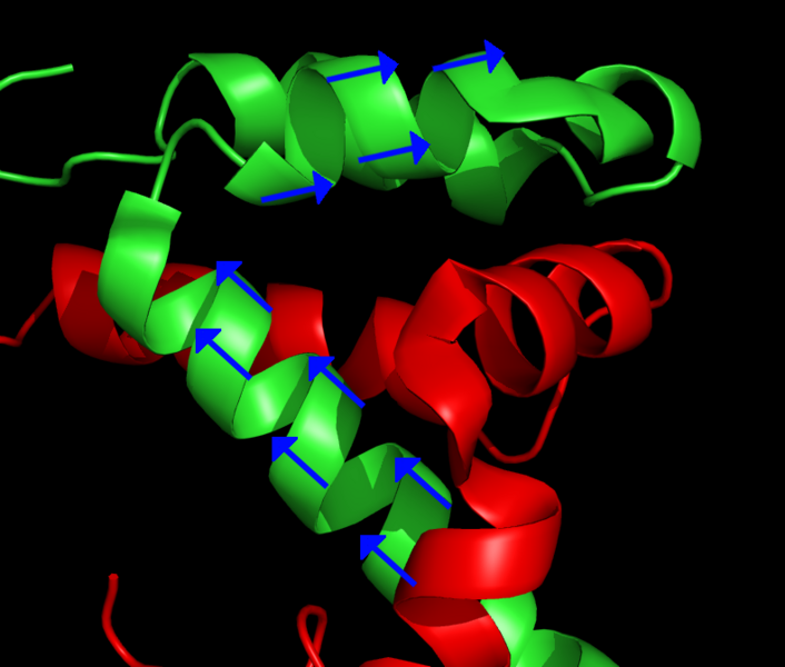 File:RDC and protein structure.png