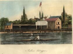 Scullers with outriggers 1851.jpg