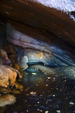 Stará Amatérská jeskyně - Bílá voda v Povodňové chodbě.jpg