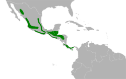 Turdus assimilis map 2.svg