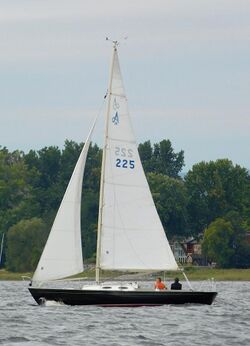 Alerion Express 28 sailboat Cogito 5633.jpg