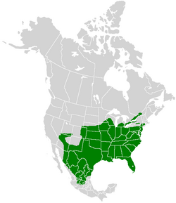 Asterocampa celtis range map.PNG