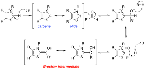 Scheme 2. Formation of the Breslow intermediate