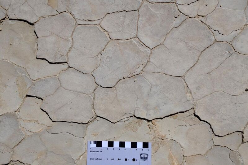 File:Carmel Formation mudcracks Jurassic.jpg