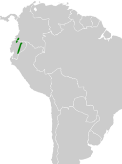 Elaenia brachyptera map.svg