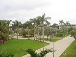 FAU Alumni Plaza.jpg
