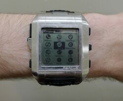 Fossil Wrist PDA on wrist.JPG