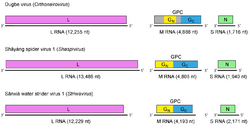 ONSR.Nairo.Fig2.v3 WEB.png