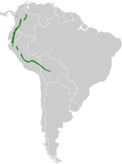Ochthoeca frontalis map.svg