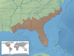 Ophisaurus ventralis distribution.png