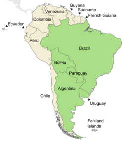 Symphyotrichum graminifolium native distribution: Argentina, Bolivia, Brazil, Paraguay, and Uruguay.