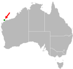 Aprasia rostrata distribution.svg