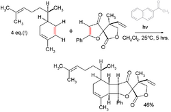 BiyouyanaginATotalSynthesis.png