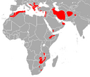 Throughout large parts of the Mediterranean, Middle East and Northern Africa