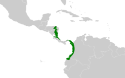 Conopias albovittatus map.svg