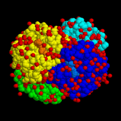 Hemoglobin.gif