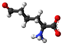 Ball-and-stick model of the L-allysine molecule as a zwitteiron