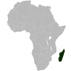 Locator map of Madagascar in Africa.svg