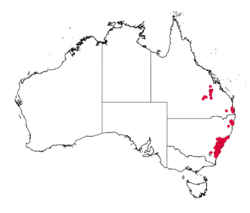 Lomandra obliqua distribution map.png