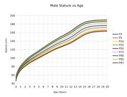 Male Stature vs Age.svg