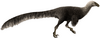 Ornitholestes reconstruction (flipped).png