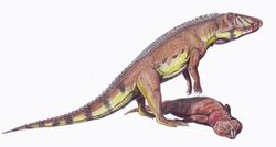 Ornithosuchus1DB.jpg