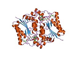 PDB 1zx1 EBI.jpg