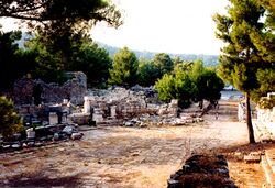 Phaselis axb01.jpg