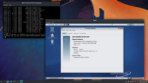 QEMU 6.2 running NetBSD and OpenIndiana screenshot.png
